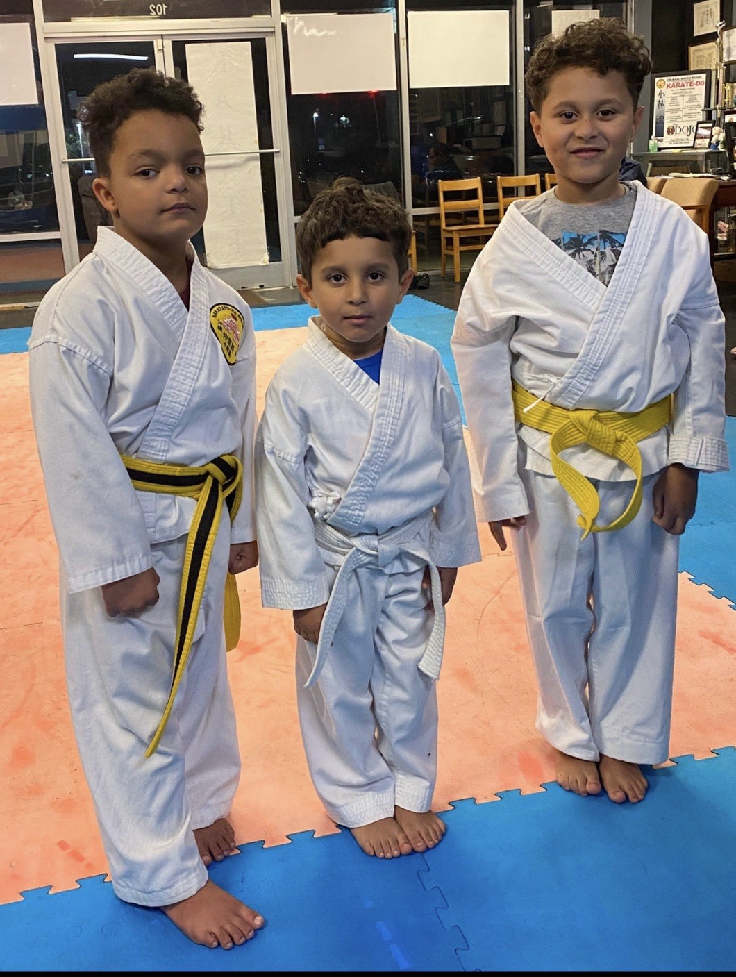 Dojo Karate Summer Day Camp-Weekly