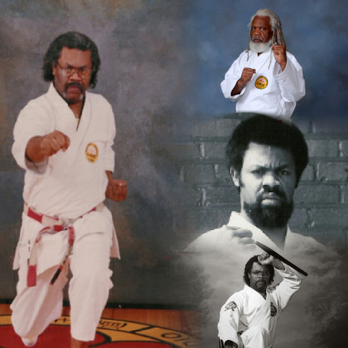 Monthly Tuition Kids 6 Month & Adult 12 Month Blue Belt Program