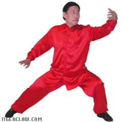 Tai Chi Uniform